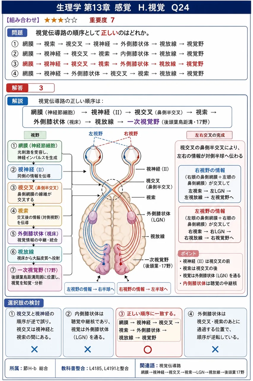 視覚伝導路の順序として**正しい**のはどれか。 解説図