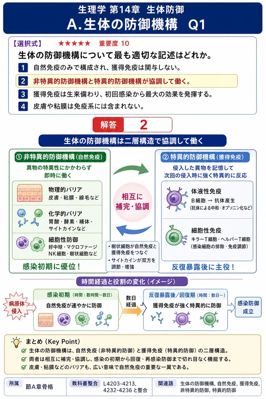 生体の防御機構について最も適切な記述はどれか。 解説図