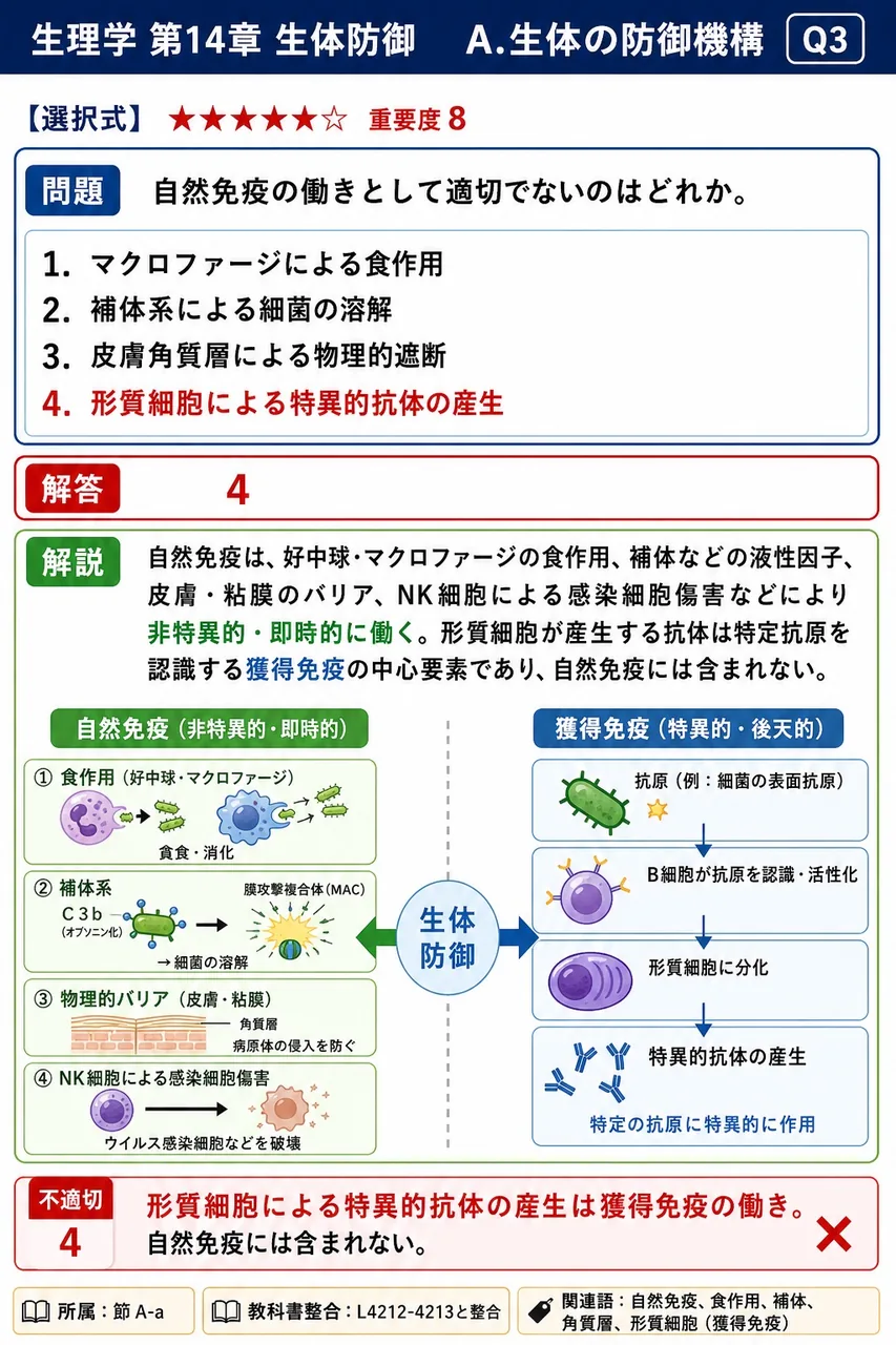 自然免疫の働きとして適切でないのはどれか。 解説図