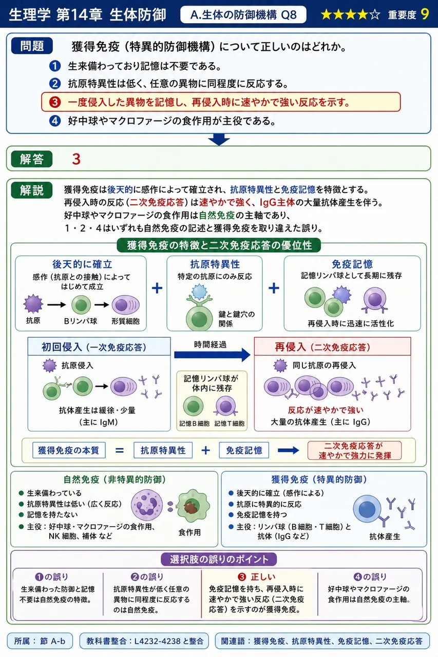 獲得免疫(特異的防御機構)について正しいのはどれか。 解説図