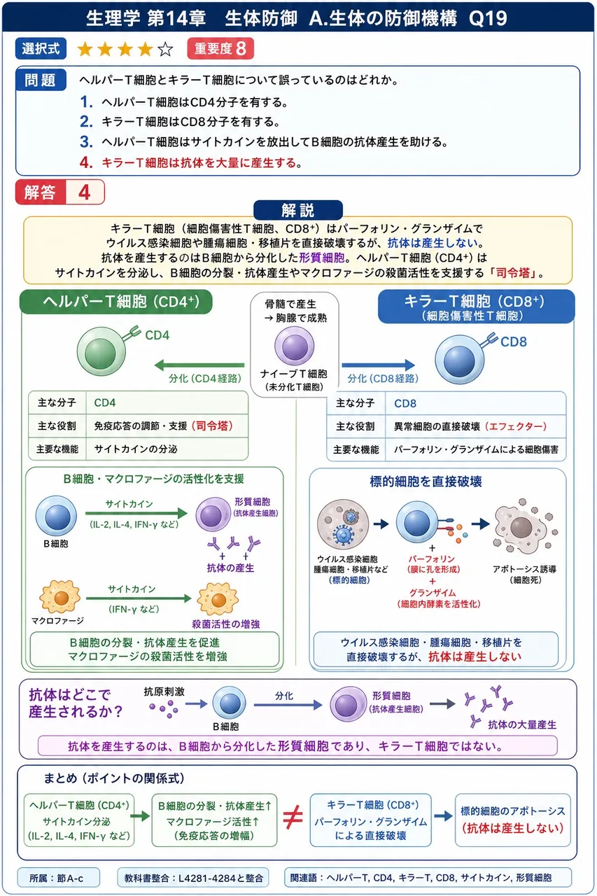 ヘルパーT細胞とキラーT細胞について誤っているのはどれか。 解説図