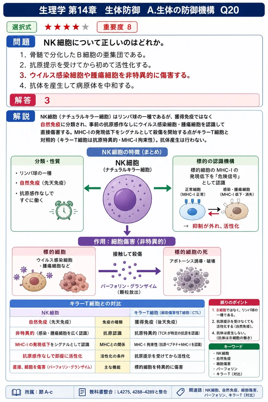 NK細胞について正しいのはどれか。 解説図