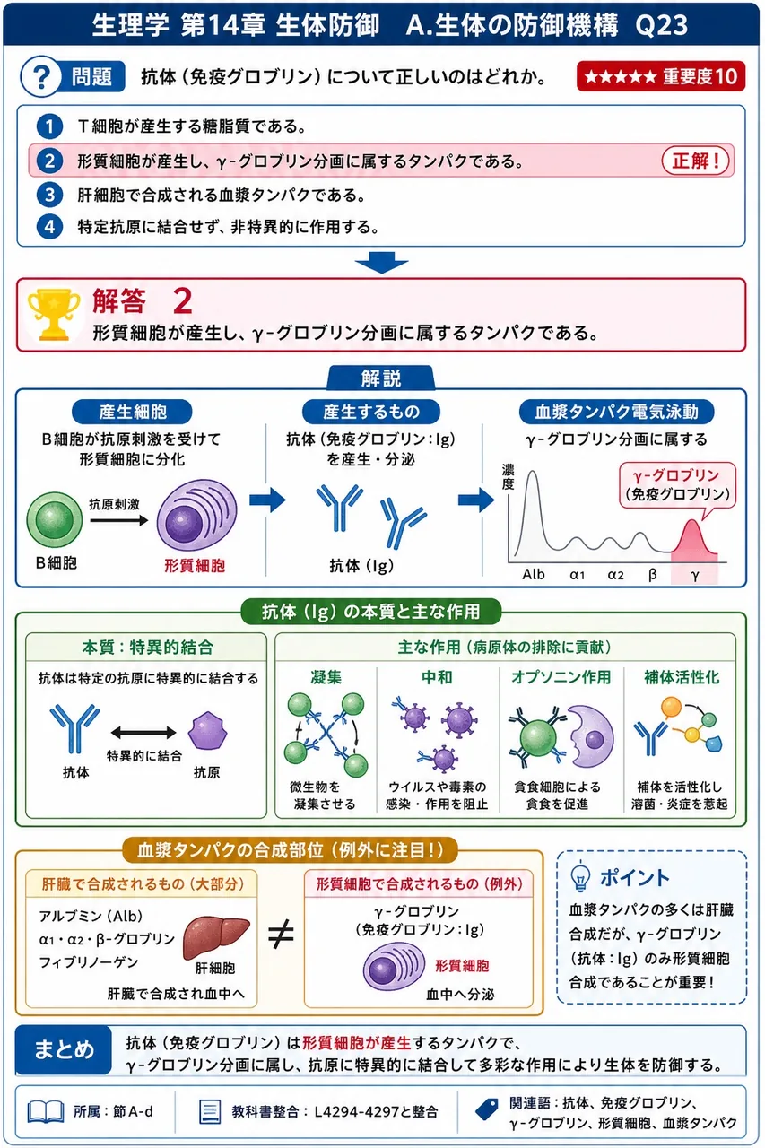 抗体(免疫グロブリン)について正しいのはどれか。 解説図