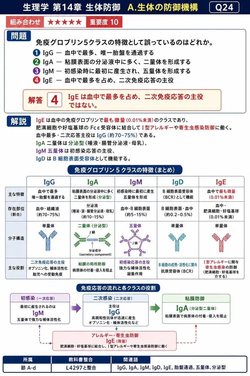 免疫グロブリン5クラスの特徴として誤っているのはどれか。 解説図