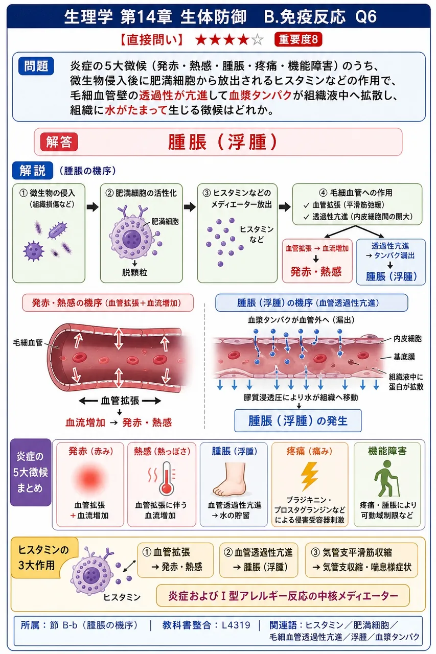 炎症の5大徴候(発赤・熱感・腫脹・疼痛・機能障害)のうち、微生物侵入後に肥満細胞から放出されるヒスタミンなどの作用で、毛細血管壁の透過性が亢進して血漿タンパクが組織液中へ拡散し、組織に水がたまって生じる徴候はどれか。 解説図