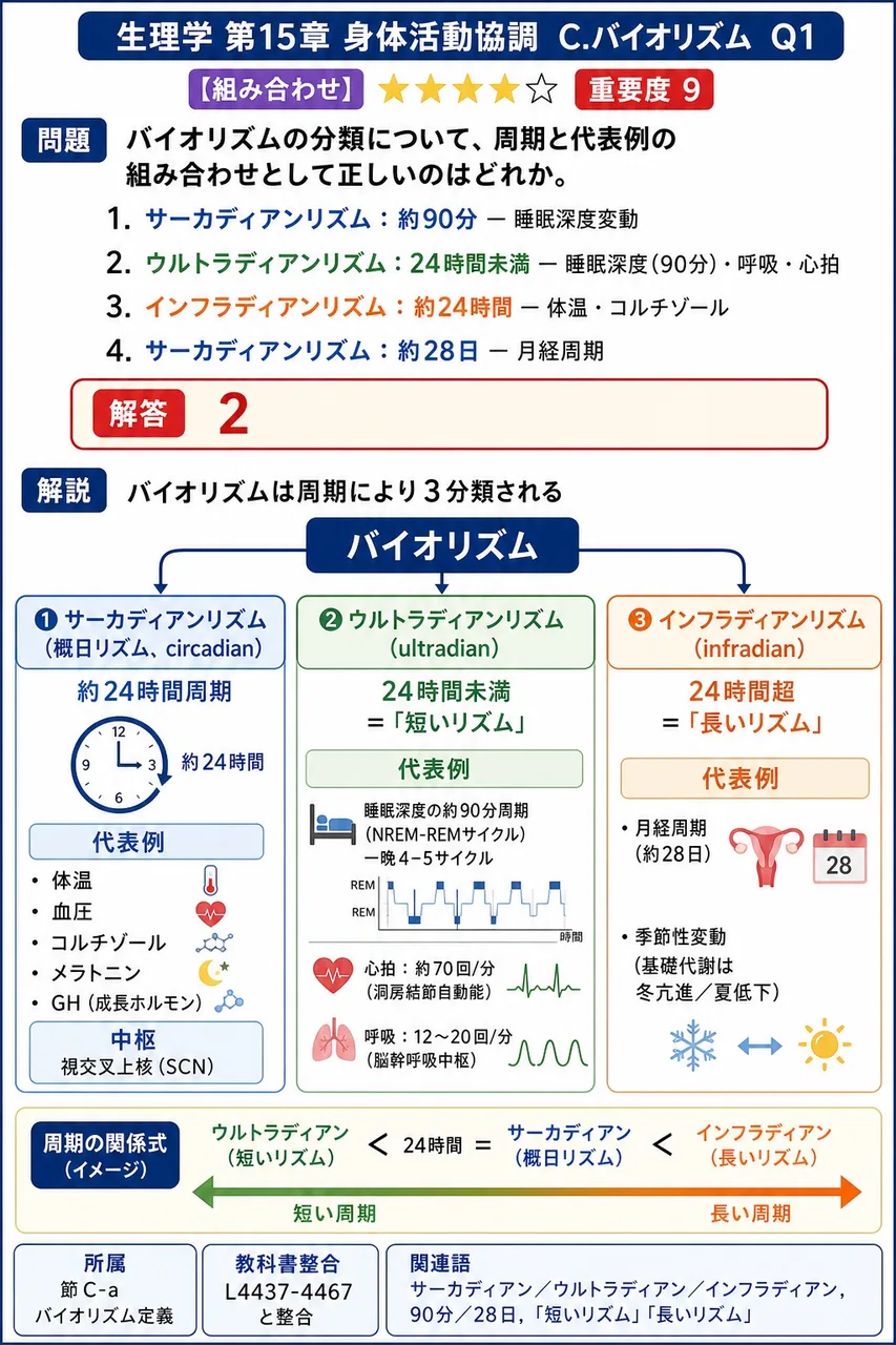 バイオリズムの分類について、周期と代表例の組み合わせとして正しいのはどれか。 解説図