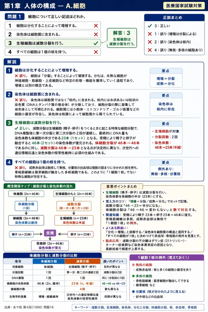あマ指 第4回(1996) 問題16|細胞について正しい記述はどれか。 解説図