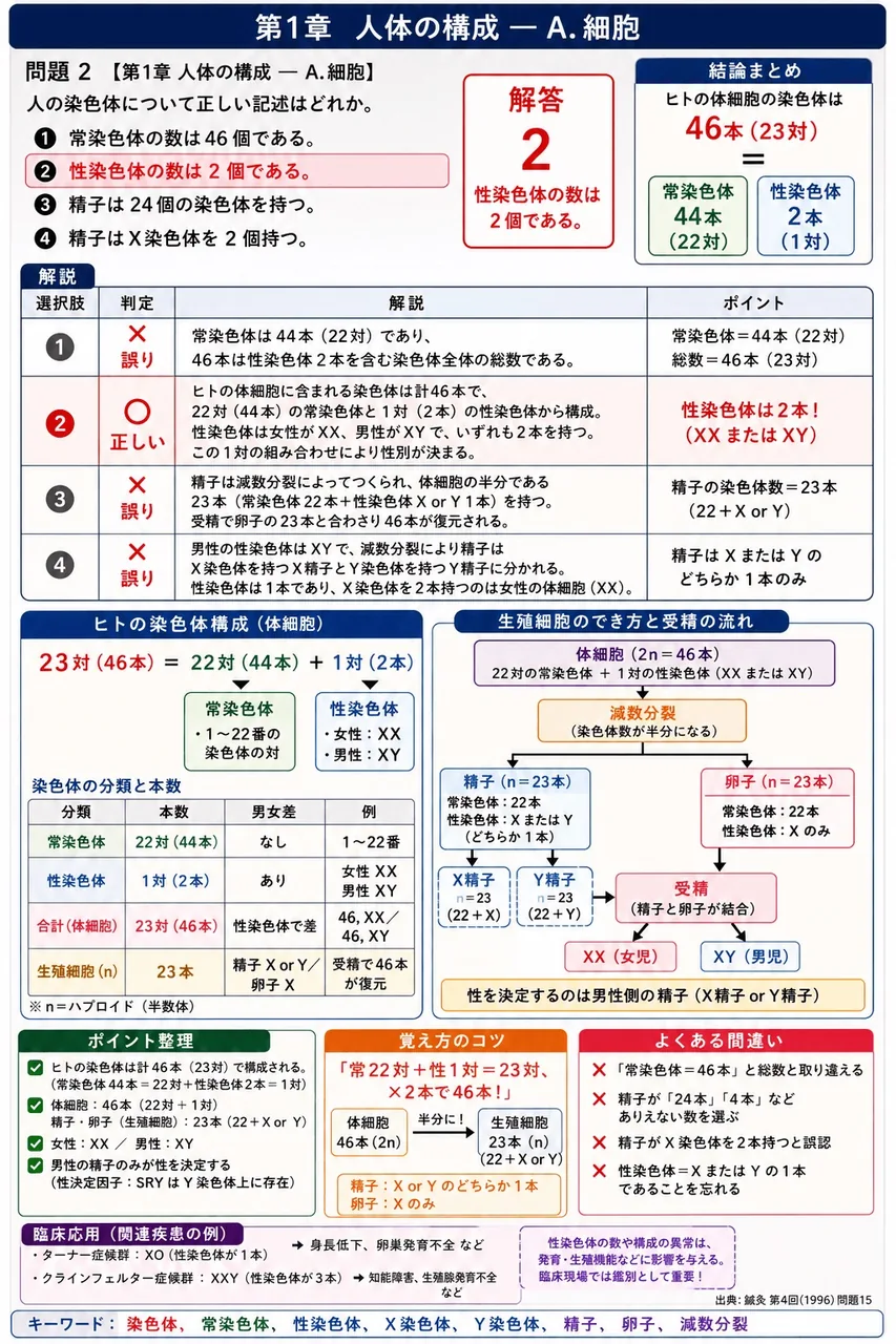 鍼灸 第4回(1996) 問題15|人の染色体について正しい記述はどれか。 解説図