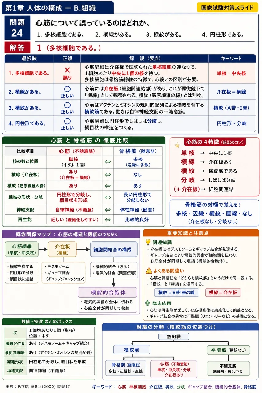 あマ指 第8回(2000) 問題17｜心筋について誤っているのはどれか。 解説図
