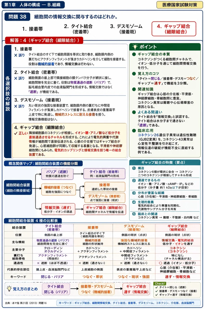 あマ指 第21回(2013) 問題16|細胞間の情報交換に関与するのはどれか。 解説図