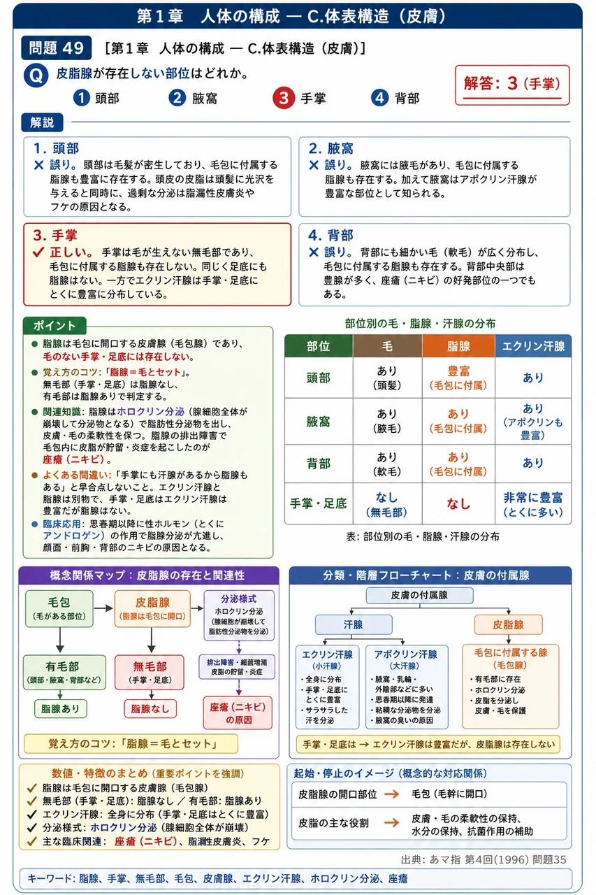 あマ指 第4回(1996) 問題35｜皮脂腺が存在しない部位はどれか。 解説図