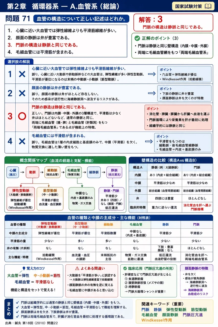 鍼灸 第18回(2010) 問題22|血管の構造について正しい記述はどれか。 解説図