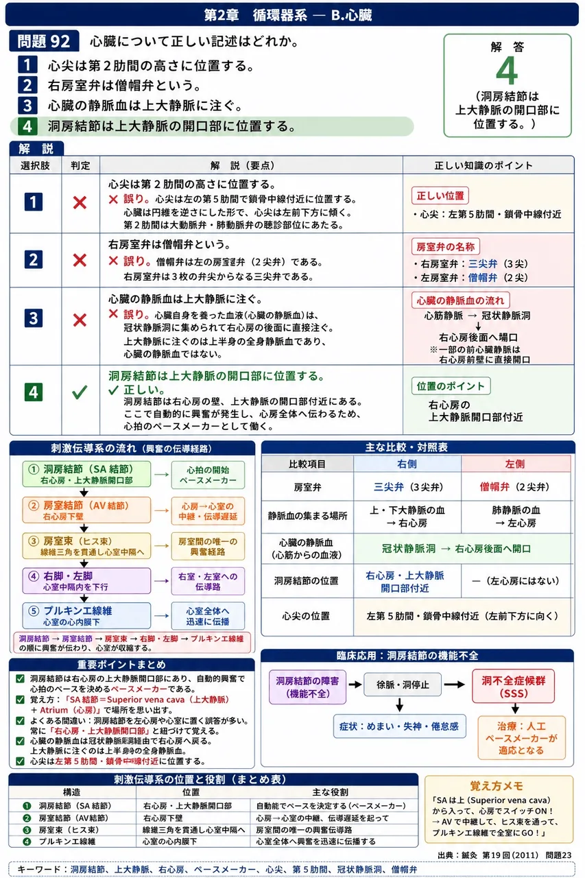 鍼灸 第19回(2011) 問題23|心臓について正しい記述はどれか。 解説図