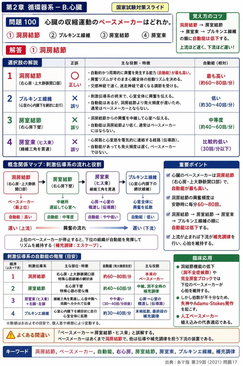 あマ指 第29回(2021) 問題17|心臓の収縮運動のペースメーカーはどれか。 解説図