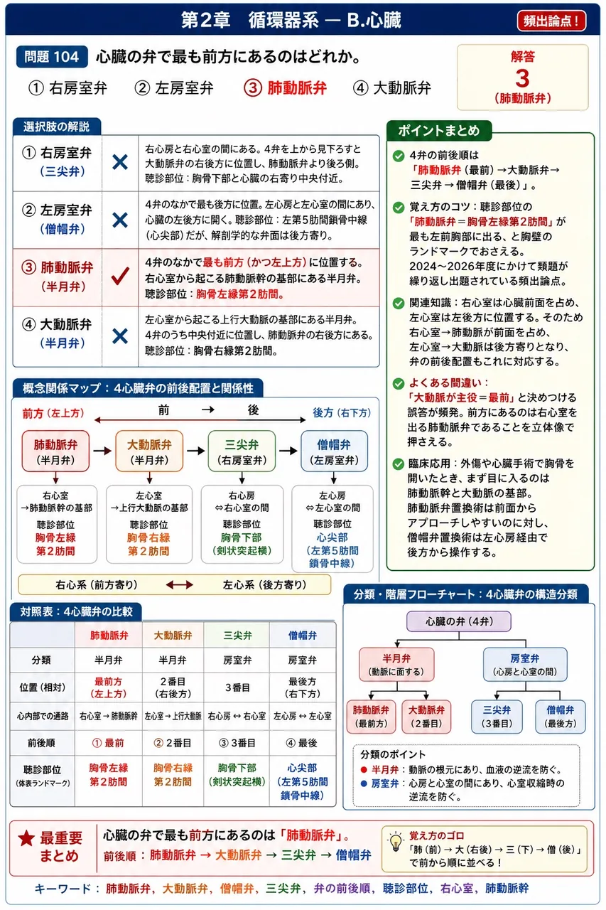 あマ指 第34回(2026) 問題17｜心臓の弁で最も前方にあるのはどれか。 解説図