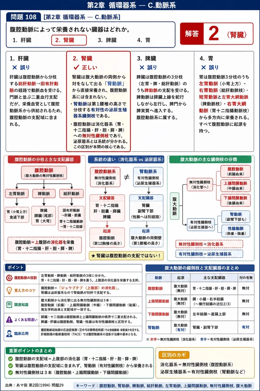 あマ指 第2回(1994) 問題29|腹腔動脈によって栄養されない臓器はどれか。 解説図