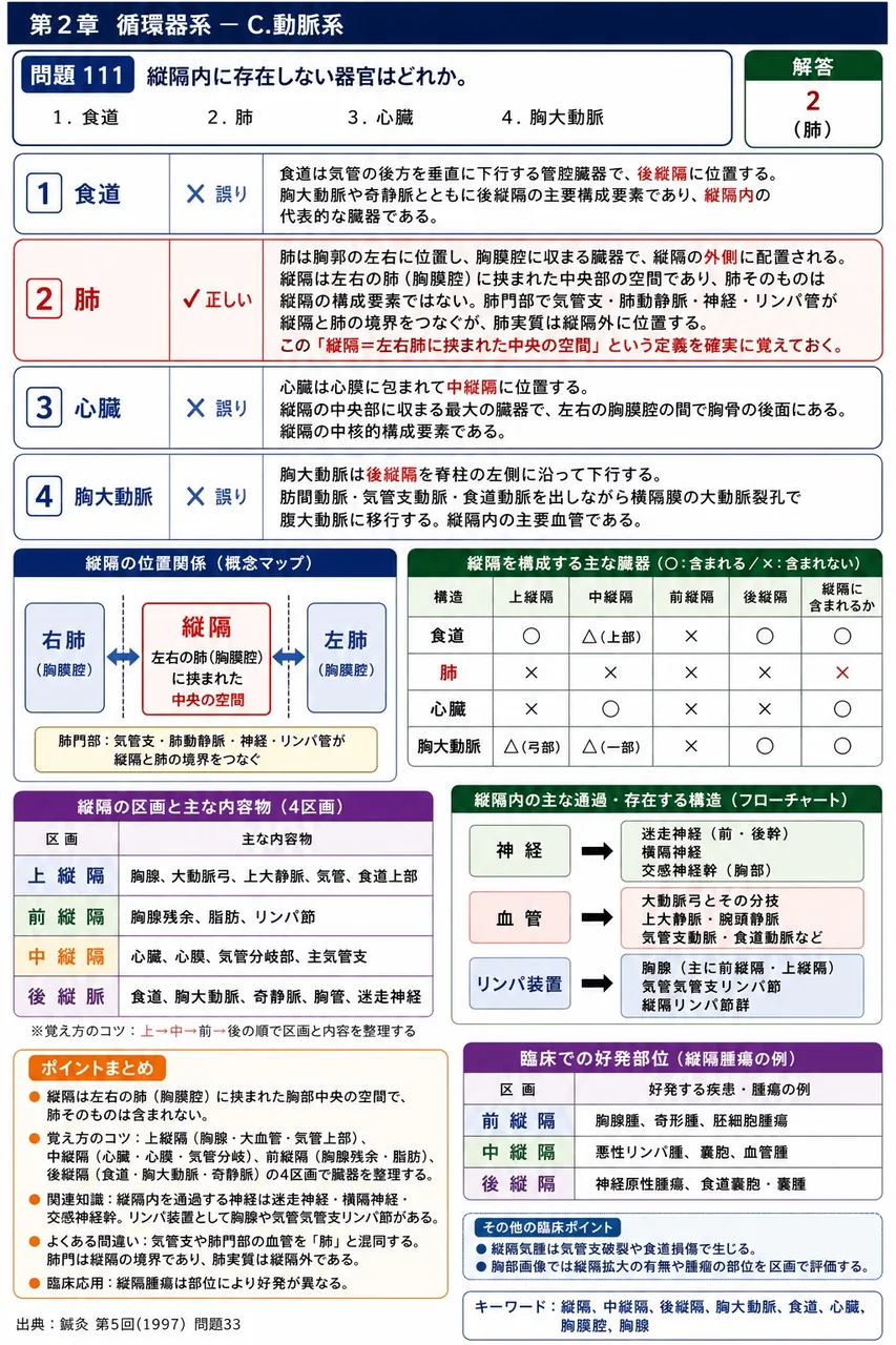 鍼灸 第5回(1997) 問題33｜縦隔内に存在しない器官はどれか。 解説図