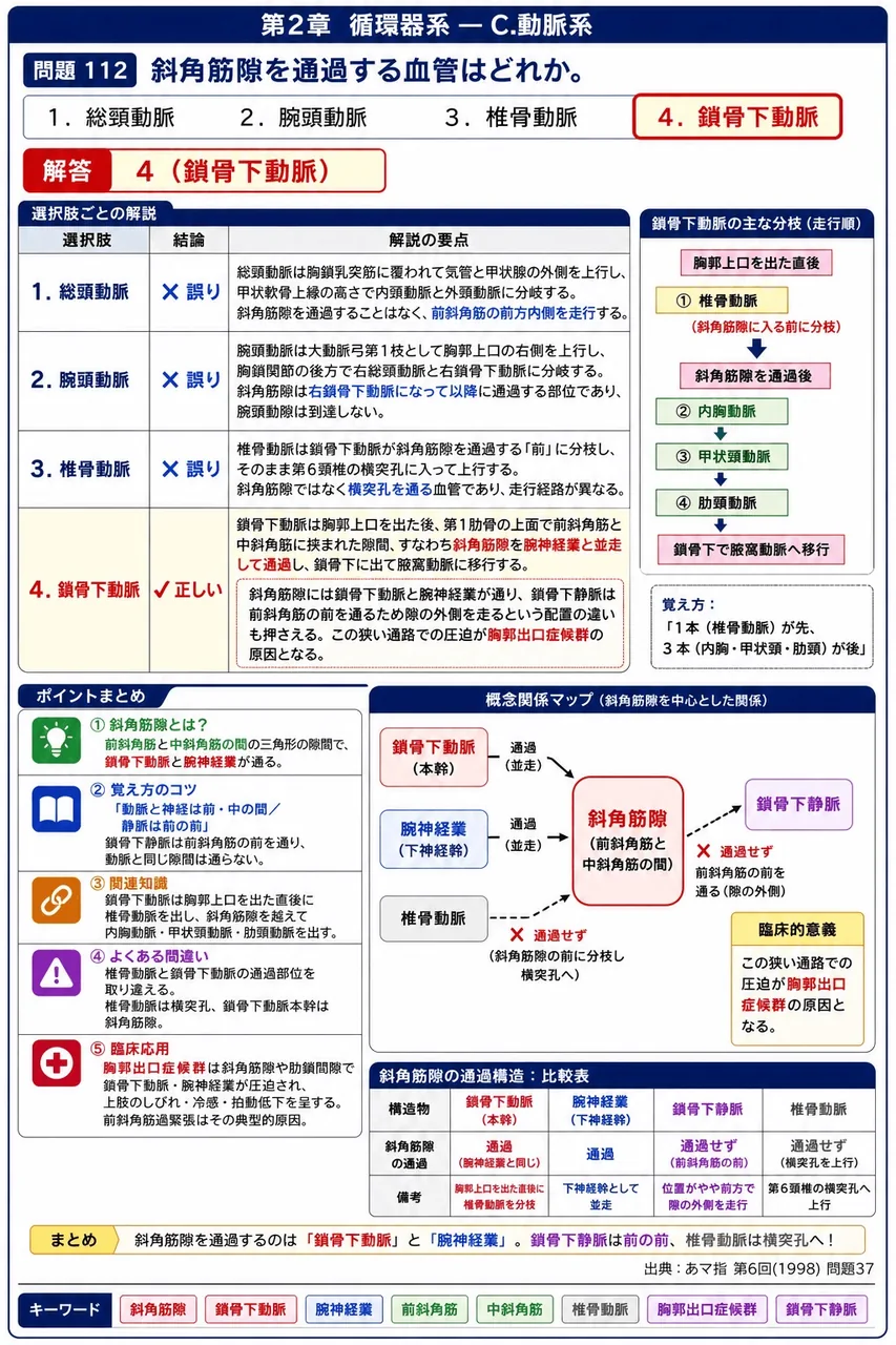 あマ指 第6回(1998) 問題37｜斜角筋隙を通過する血管はどれか。 解説図