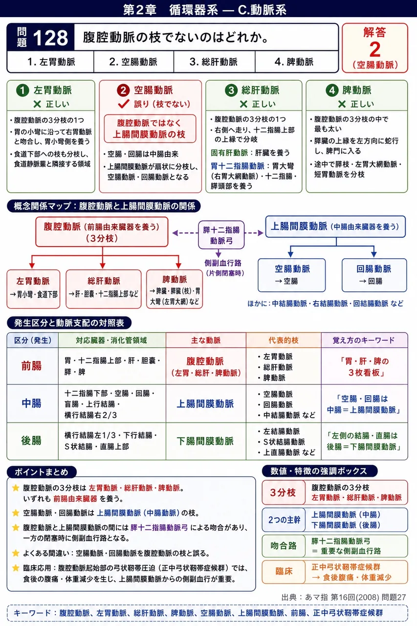 あマ指 第16回(2008) 問題27|腹腔動脈の枝でないのはどれか。 解説図