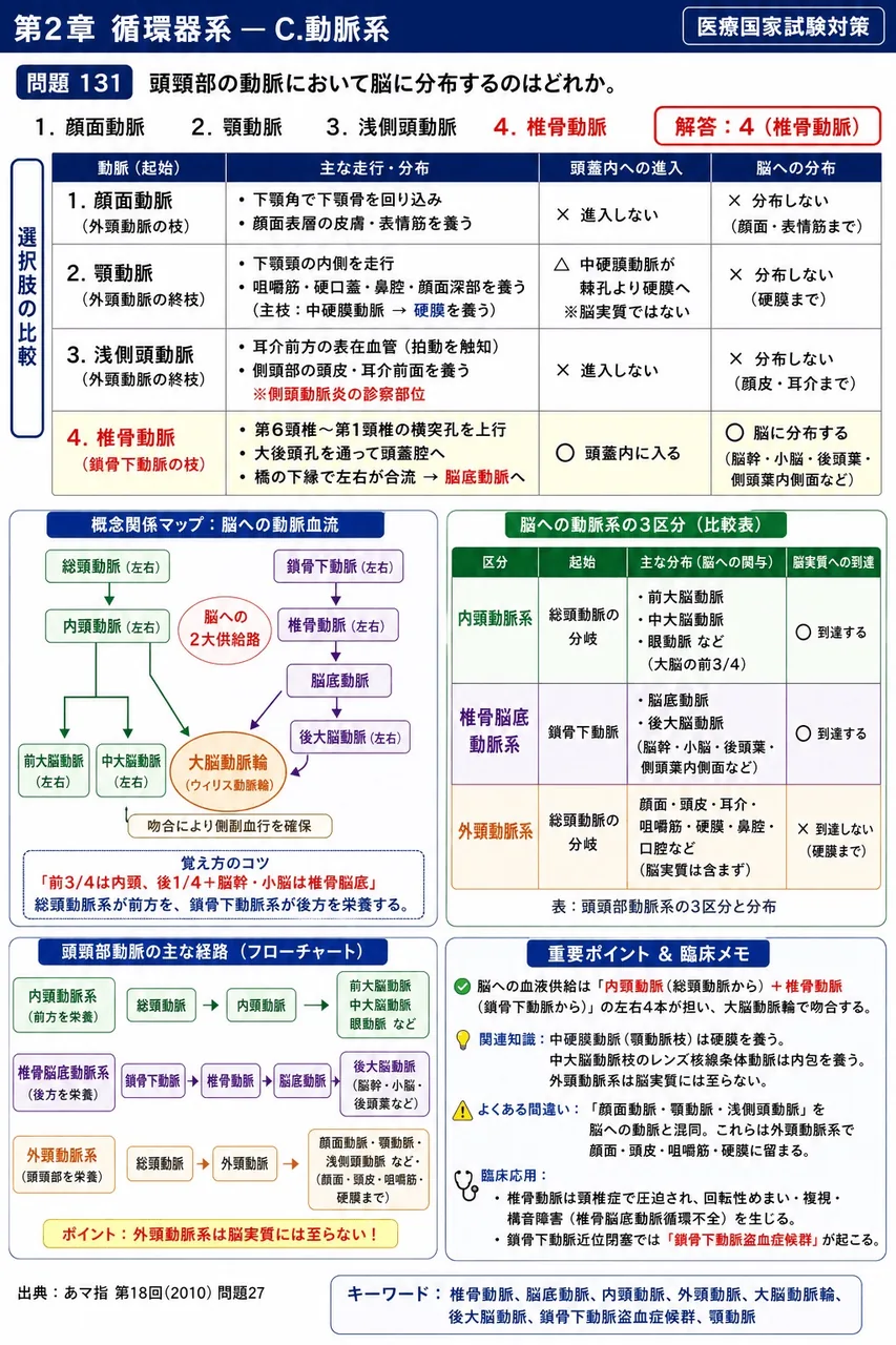 あマ指 第18回(2010) 問題27|頭頸部の動脈において脳に分布するのはどれか。 解説図