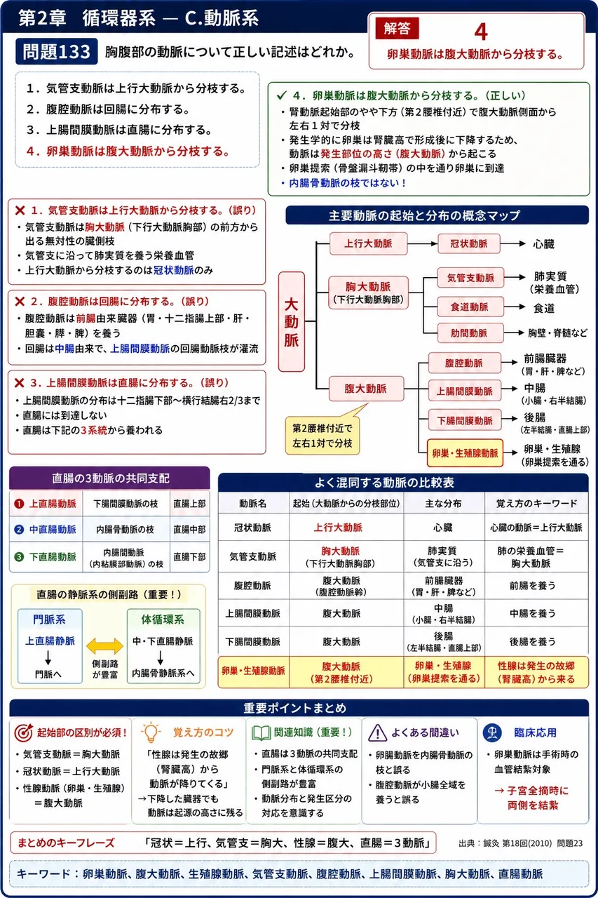 鍼灸 第18回(2010) 問題23|胸腹部の動脈について正しい記述はどれか。 解説図