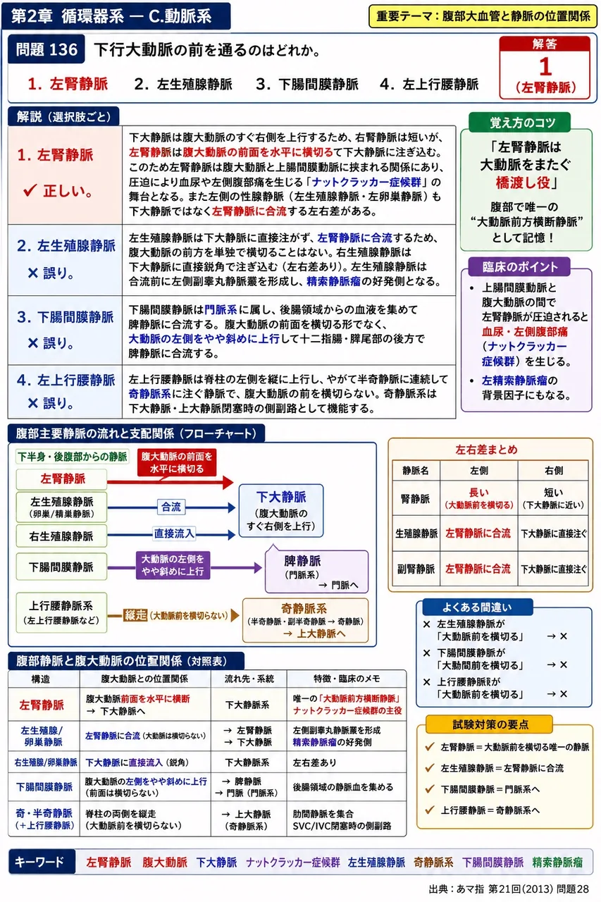 あマ指 第21回(2013) 問題28|下行大動脈の前を通るのはどれか。 解説図