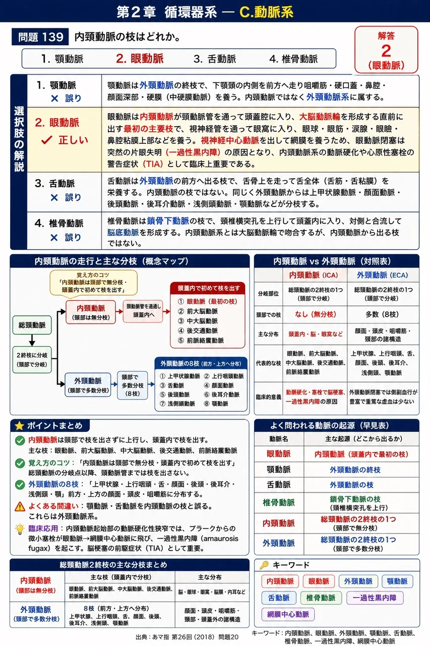 あマ指 第26回(2018) 問題20｜内頚動脈の枝はどれか。 解説図