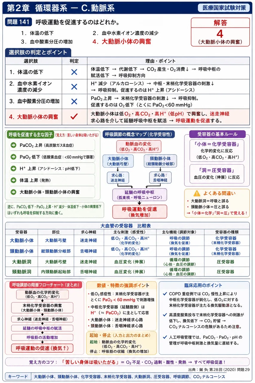 鍼灸 第28回(2020) 問題29|呼吸運動を促進するのはどれか。 解説図