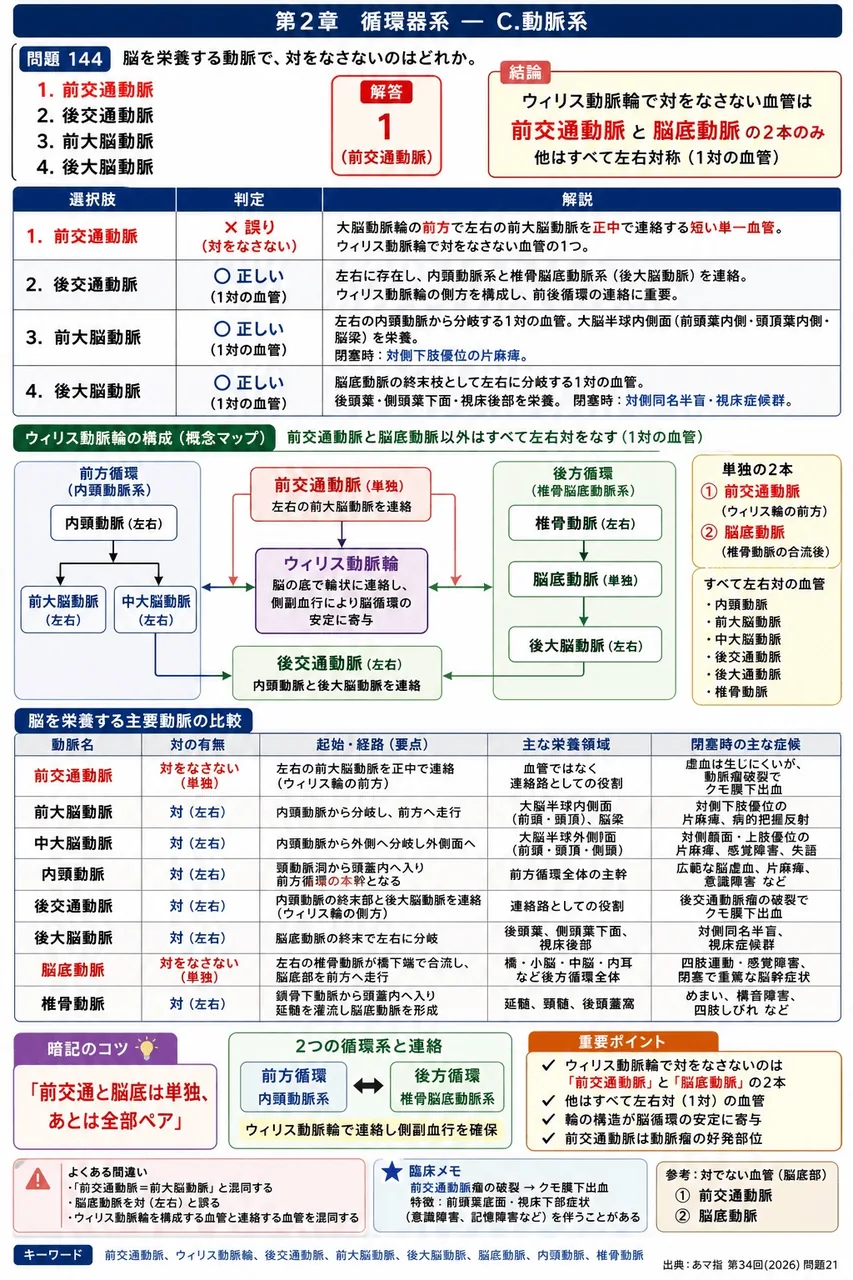 あマ指 第34回(2026) 問題21|脳を栄養する動脈で、対をなさないのはどれか。 解説図