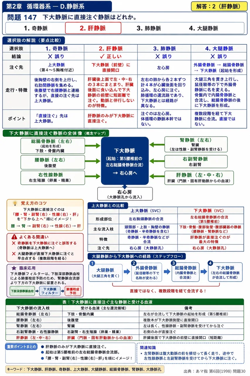 あマ指 第6回(1998) 問題30|下大静脈に直接注ぐ静脈はどれか。 解説図