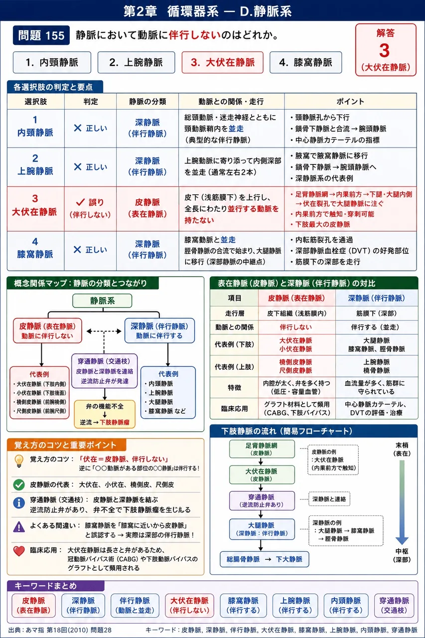 あマ指 第18回(2010) 問題28|静脈において動脈に伴行しないのはどれか。 解説図