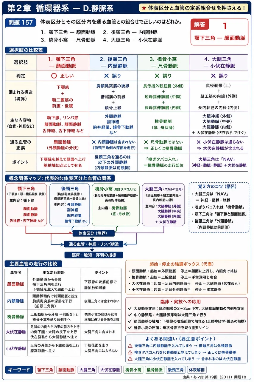 あマ指 第19回(2011) 問題18｜体表区分とその区分内を通る血管との組合せで正しいのはどれか。 解説図