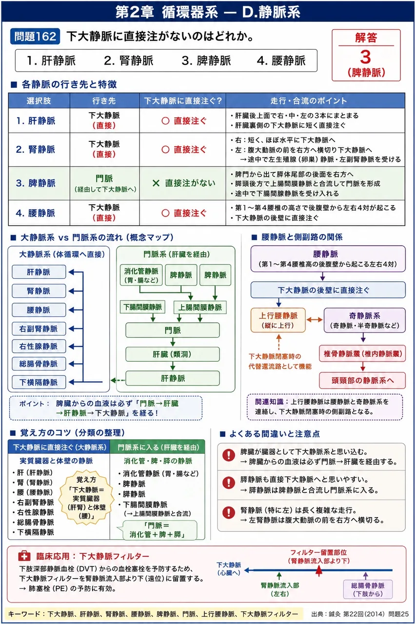 鍼灸 第22回(2014) 問題25｜下大静脈に直接注がないのはどれか。 解説図