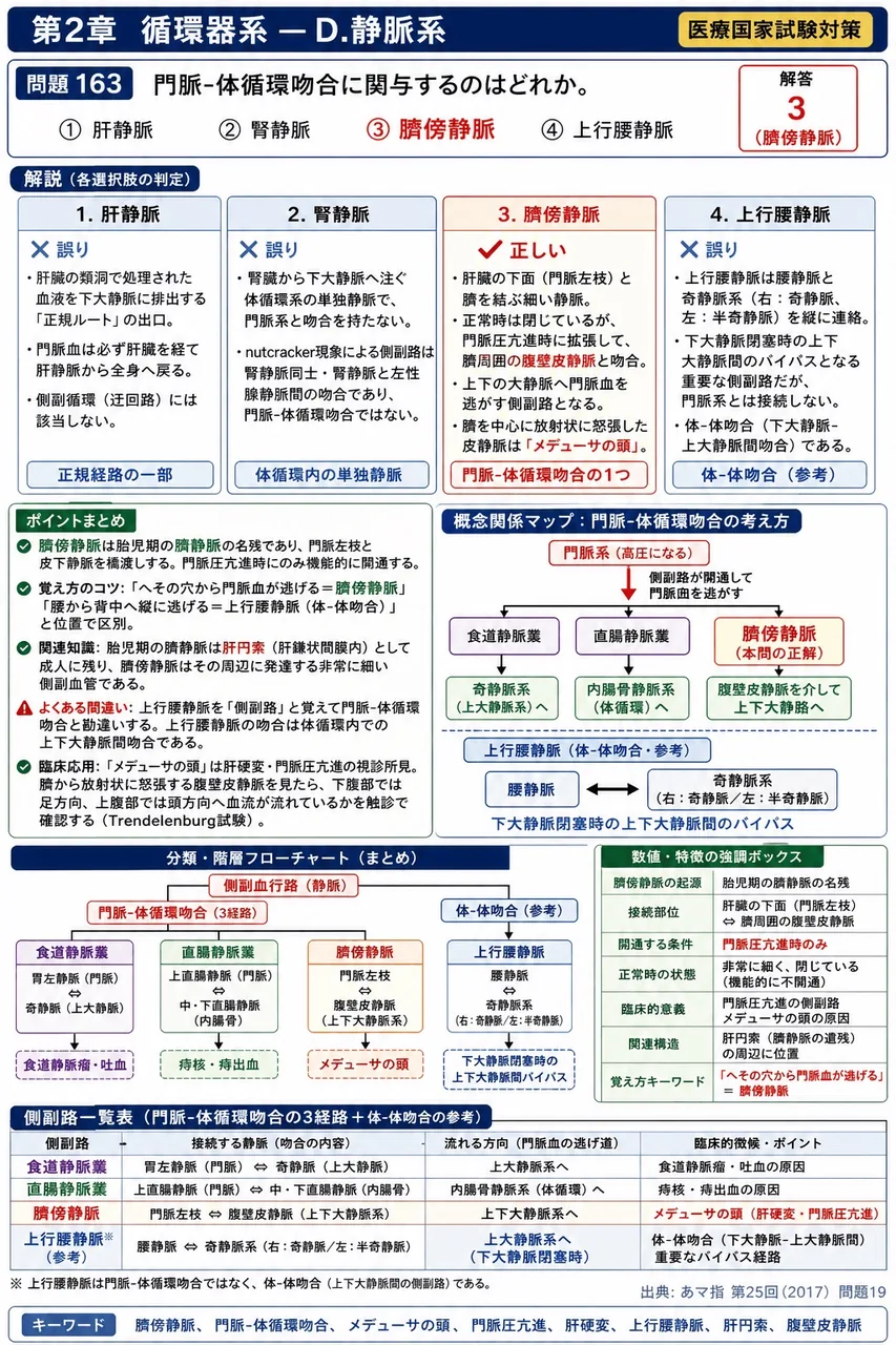 あマ指 第25回(2017) 問題19|門脈-体循環吻合に関与するのはどれか。 解説図