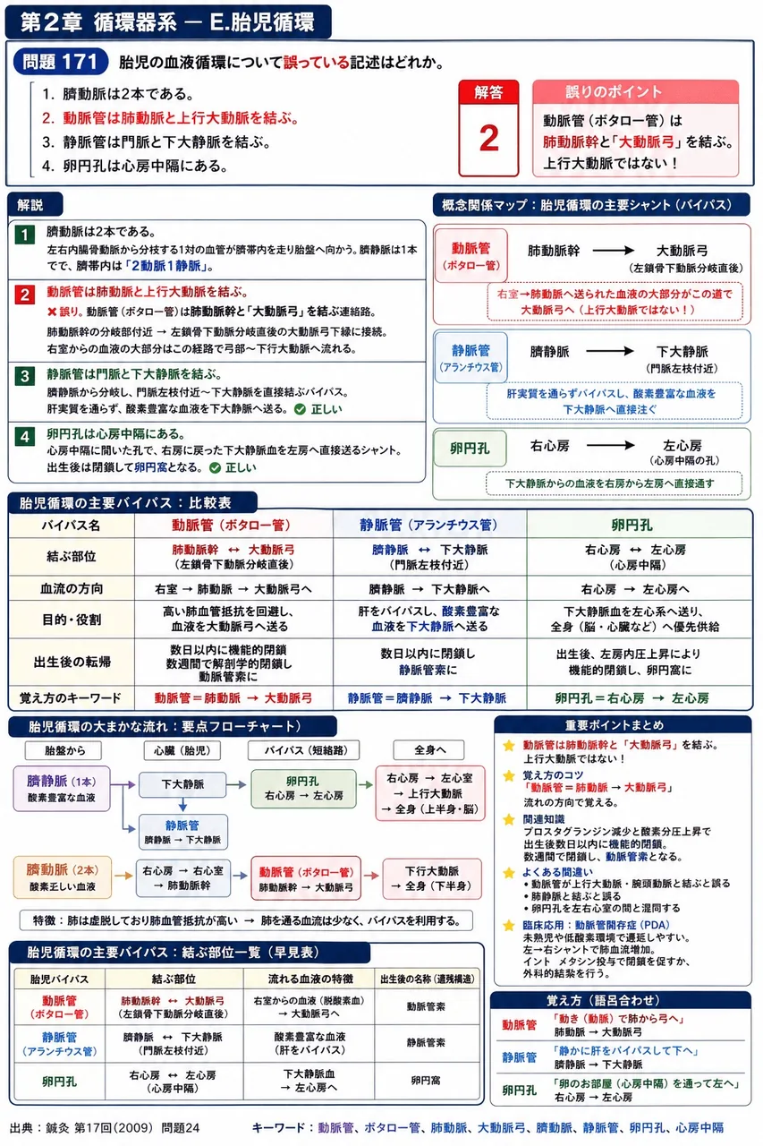 鍼灸 第17回(2009) 問題24｜胎児の血液循環について誤っている記述はどれか。 解説図