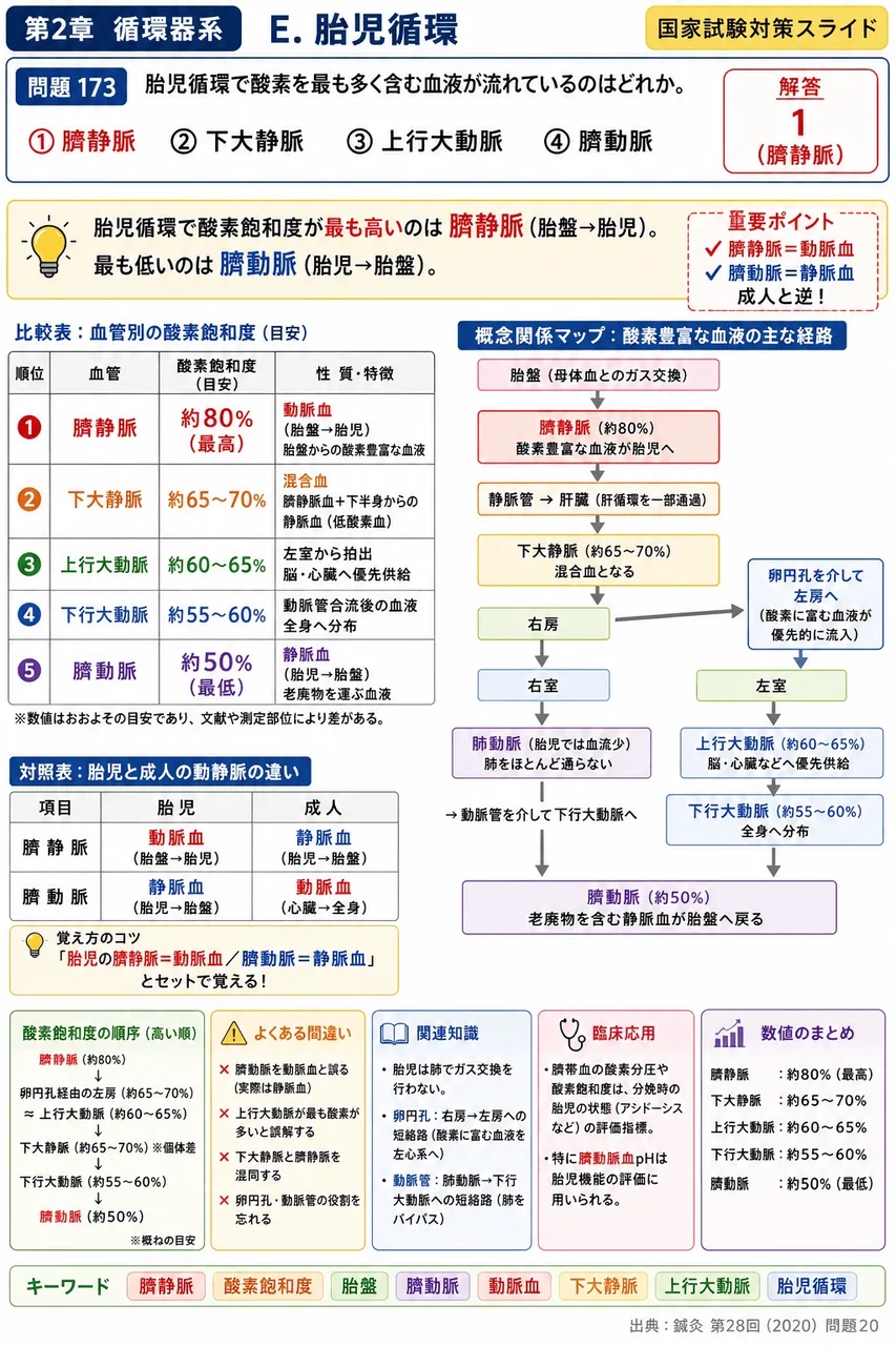 鍼灸 第28回(2020) 問題20|胎児循環で酸素を最も多く含む血液が流れているのはどれか。 解説図
