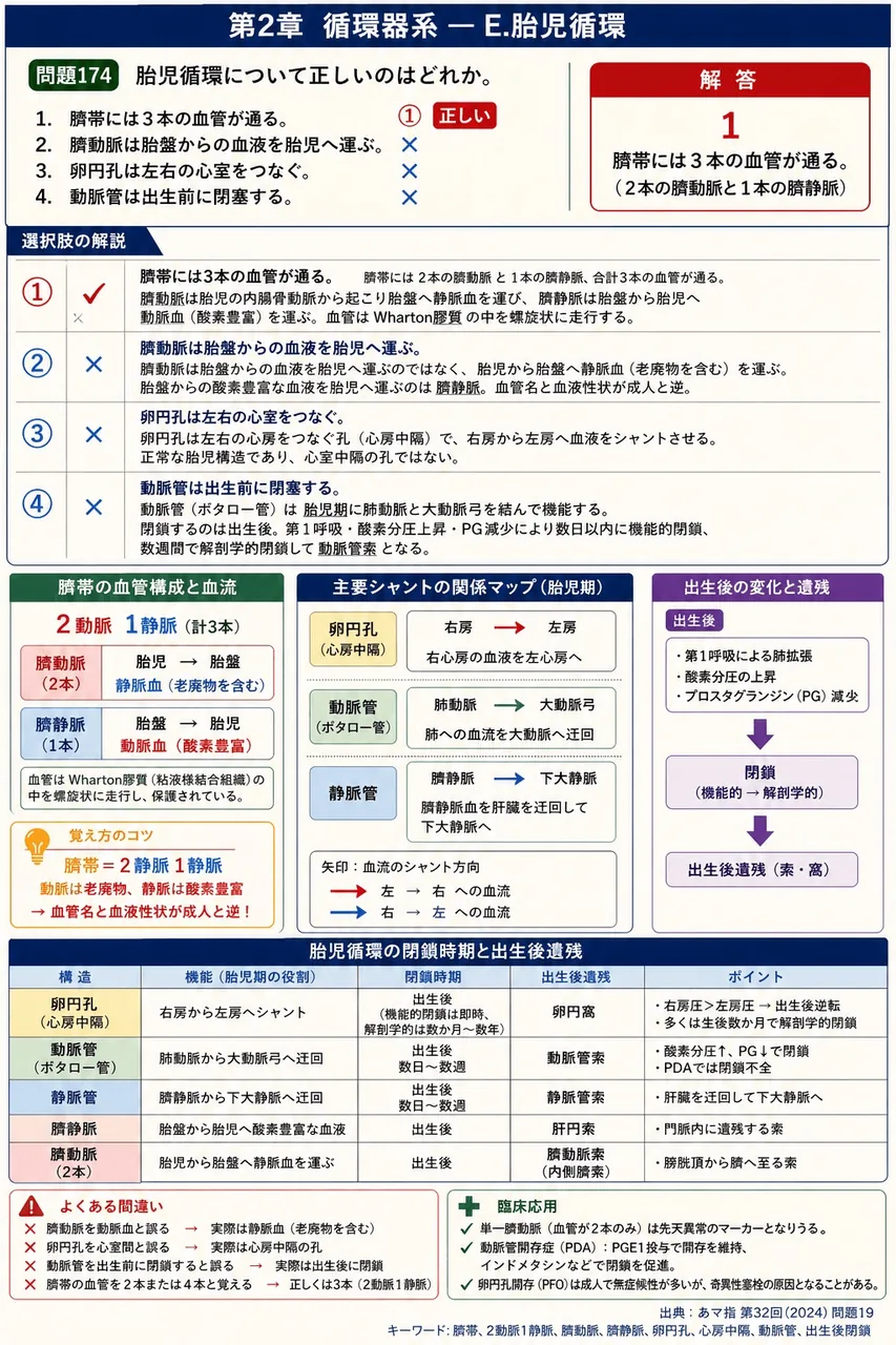 あマ指 第32回(2024) 問題19|胎児循環について正しいのはどれか。 解説図