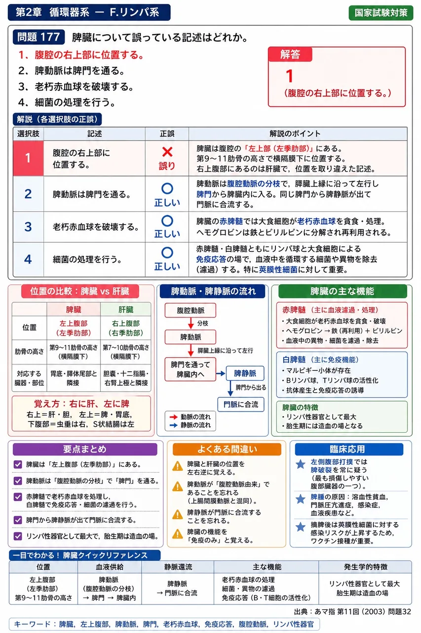 あマ指 第11回(2003) 問題32｜脾臓について誤っている記述はどれか。 解説図