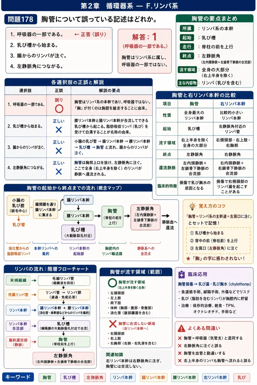 あマ指 第6回(1998) 問題31｜胸管について誤っている記述はどれか。 解説図