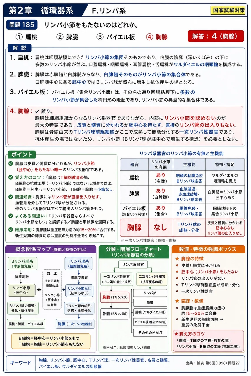 鍼灸 第6回(1998) 問題27|リンパ小節をもたないのはどれか。 解説図