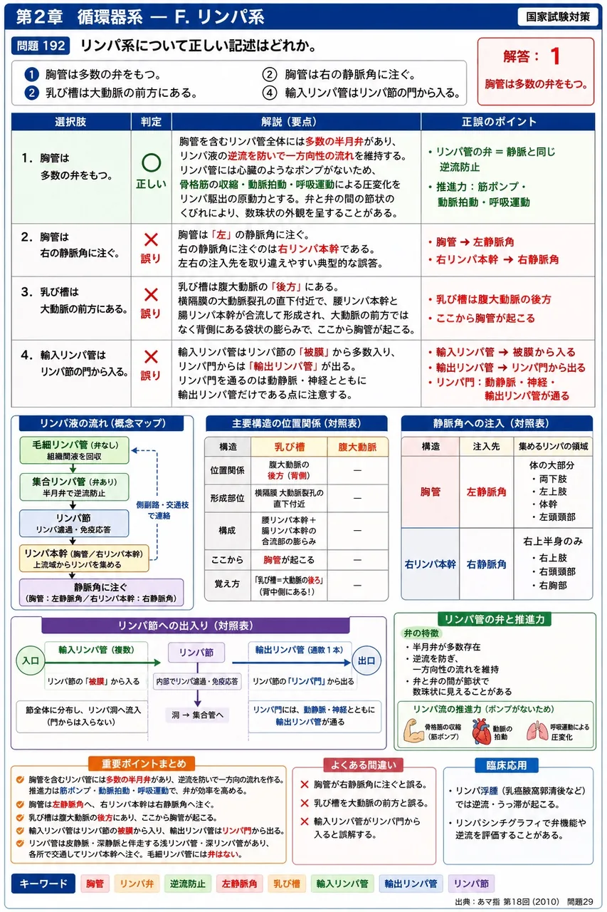 あマ指 第18回(2010) 問題29｜リンパ系について正しい記述はどれか。 解説図