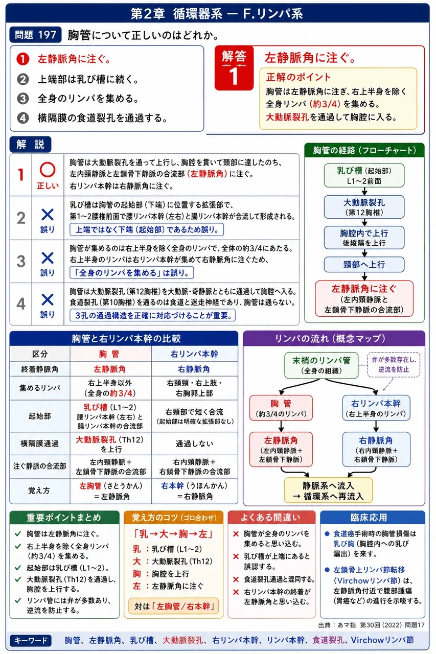 あマ指 第30回(2022) 問題17|胸管について正しいのはどれか。 解説図