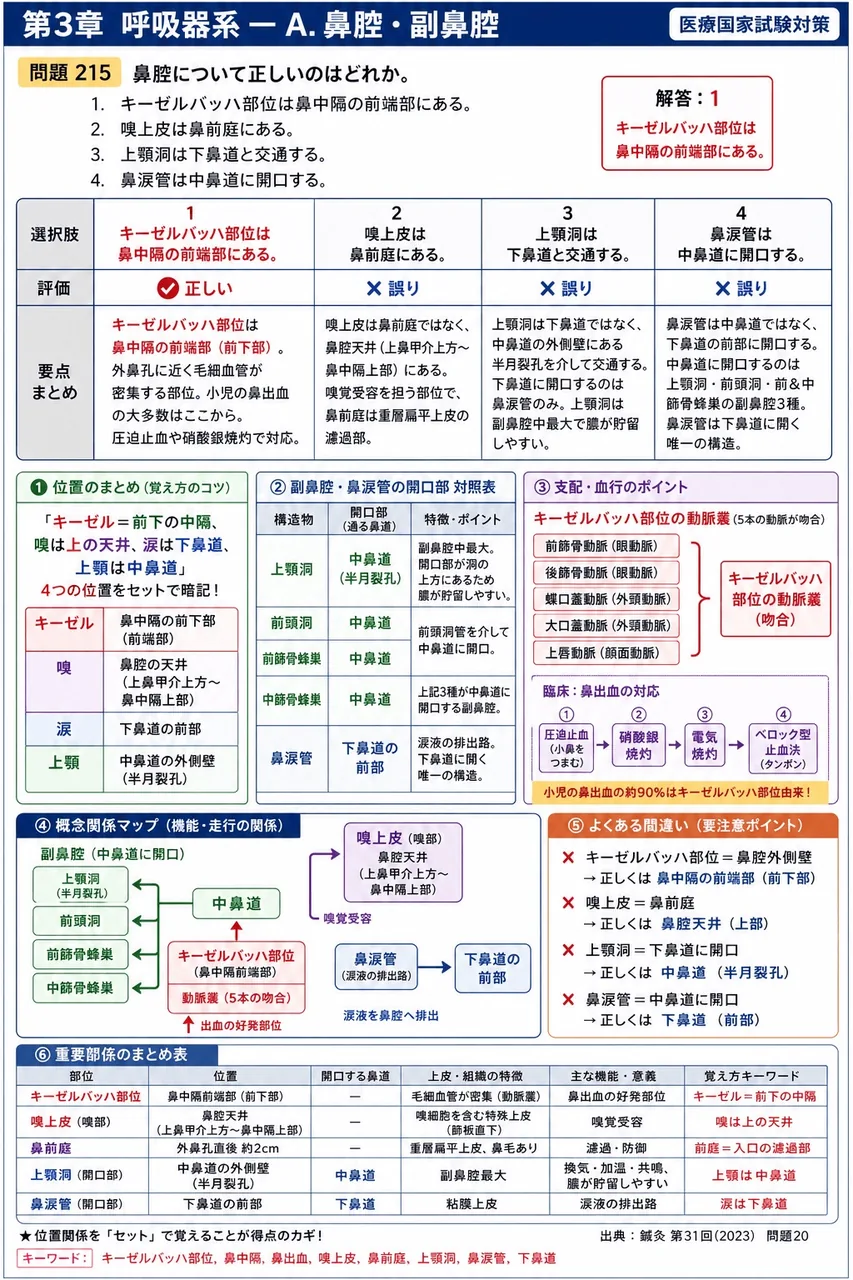 鍼灸 第31回(2023) 問題20|鼻腔について正しいのはどれか。 解説図