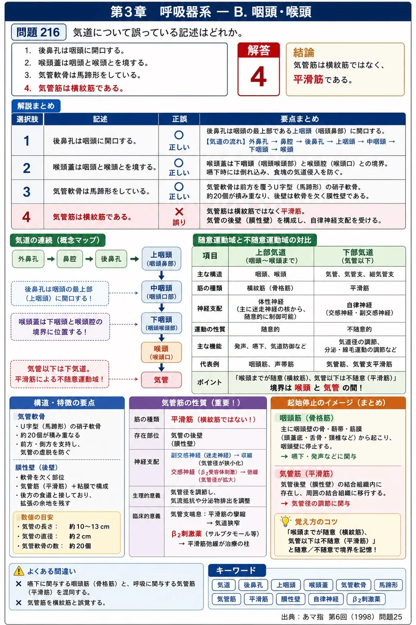 あマ指 第6回(1998) 問題25｜気道について誤っている記述はどれか。 解説図