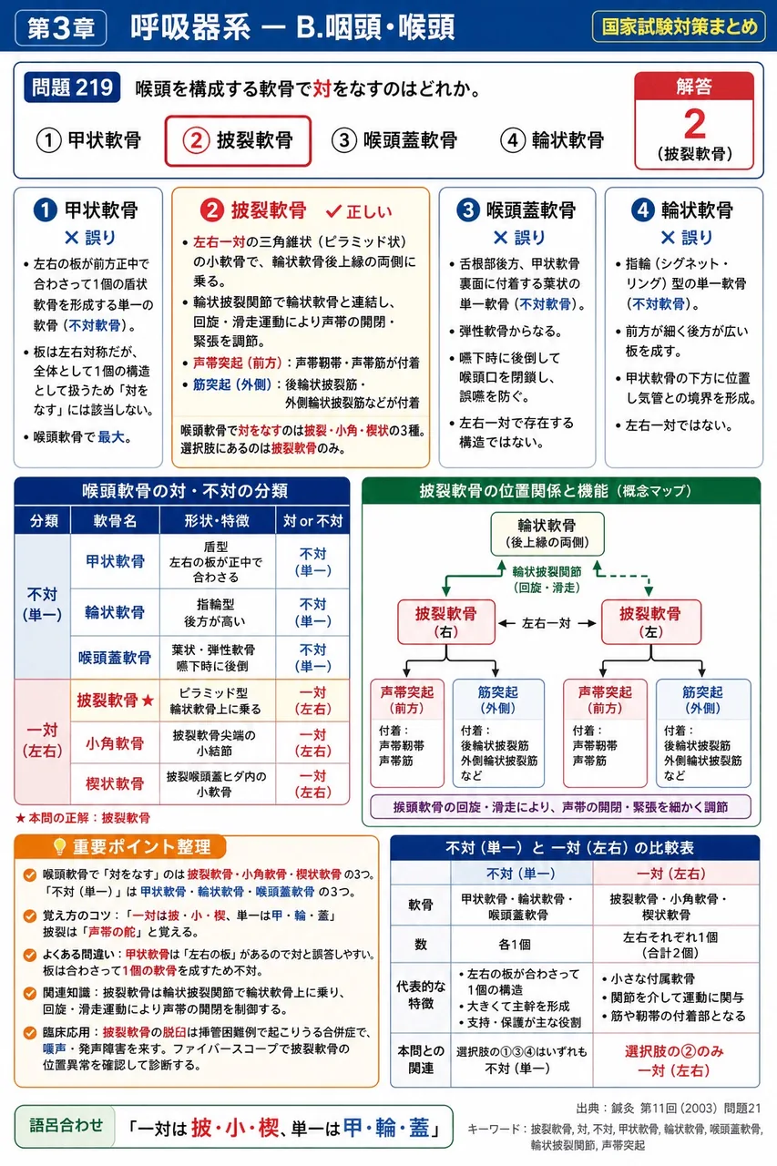 鍼灸 第11回(2003) 問題21|喉頭を構成する軟骨で対をなすのはどれか。 解説図