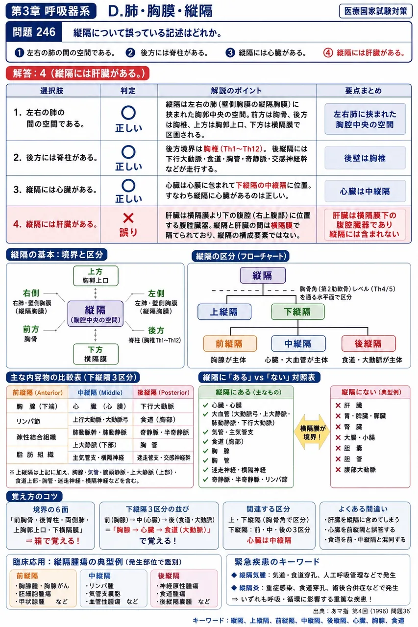 あマ指 第4回(1996) 問題36|縦隔について誤っている記述はどれか。 解説図