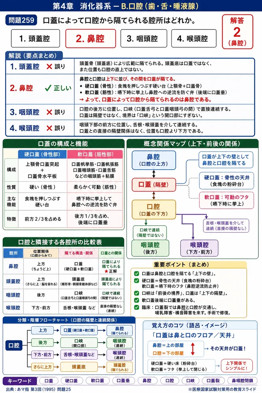 あマ指 第3回(1995) 問題25|口蓋によって口腔から隔てられる腔所はどれか。 解説図