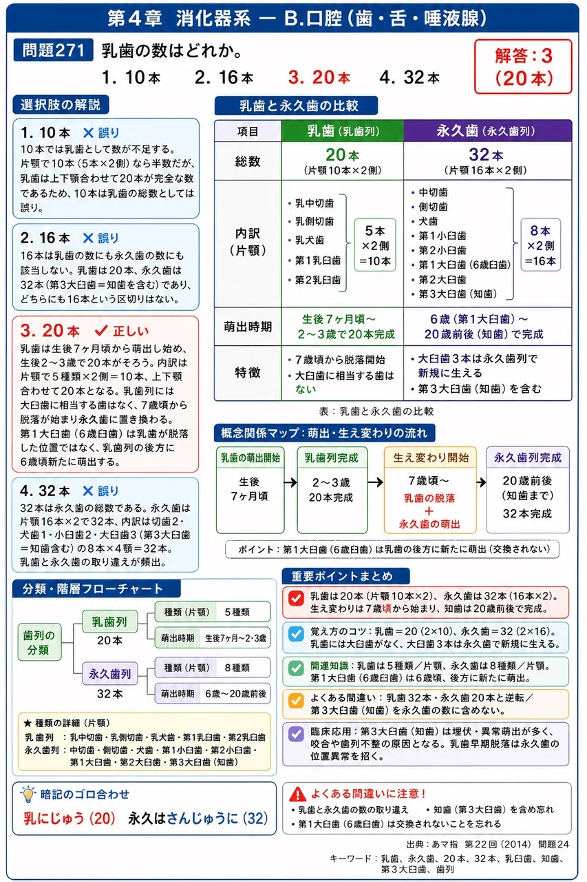 あマ指 第22回(2014) 問題24|乳歯の数はどれか。 解説図