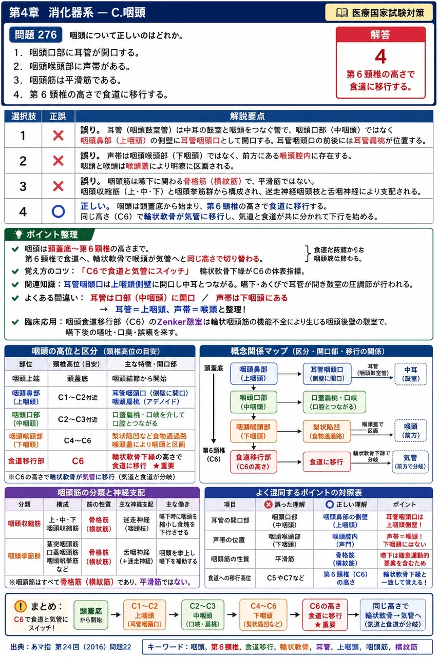 あマ指 第24回(2016) 問題22｜咽頭について正しいのはどれか。 解説図
