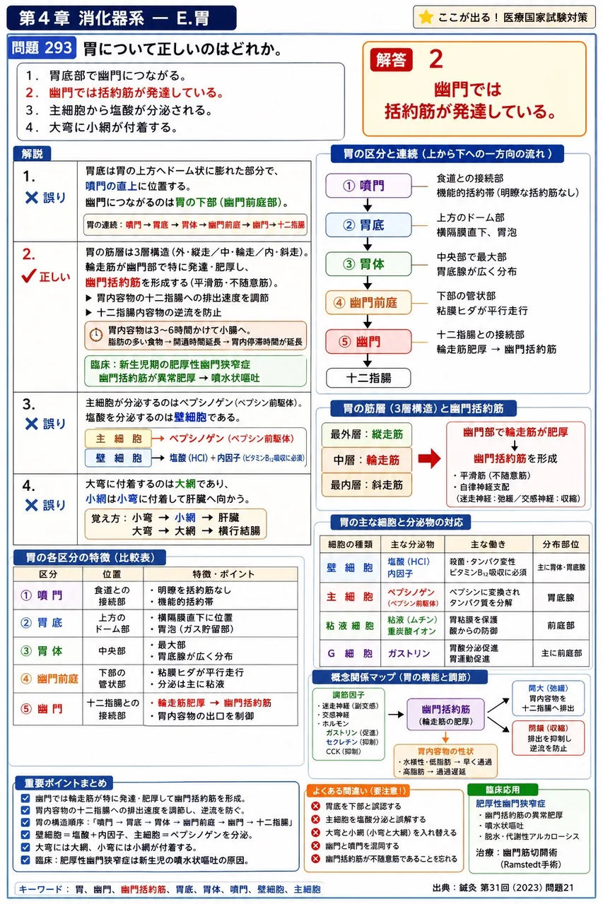 鍼灸 第31回(2023) 問題21|胃について正しいのはどれか。 解説図